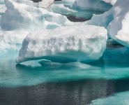 Во льдах Арктики обнаружен таинственный монстр с плоской головой