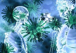 coronavirus-4924022_1280