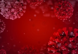 coronavirus-disease-covid-2019-5060510_1280(1)