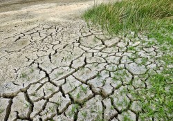 climate-change-2241061_1280