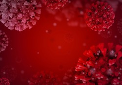 coronavirus-disease-covid-2019-5060510_1280(2)
